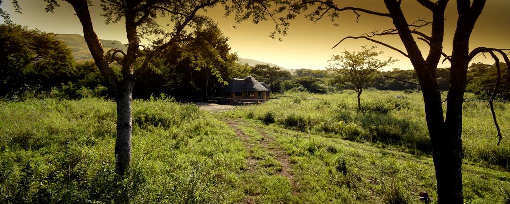 Caracal Lodge Alkmaar 部屋 写真
