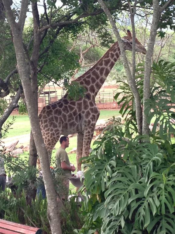 Caracal Lodge Alkmaar エクステリア 写真