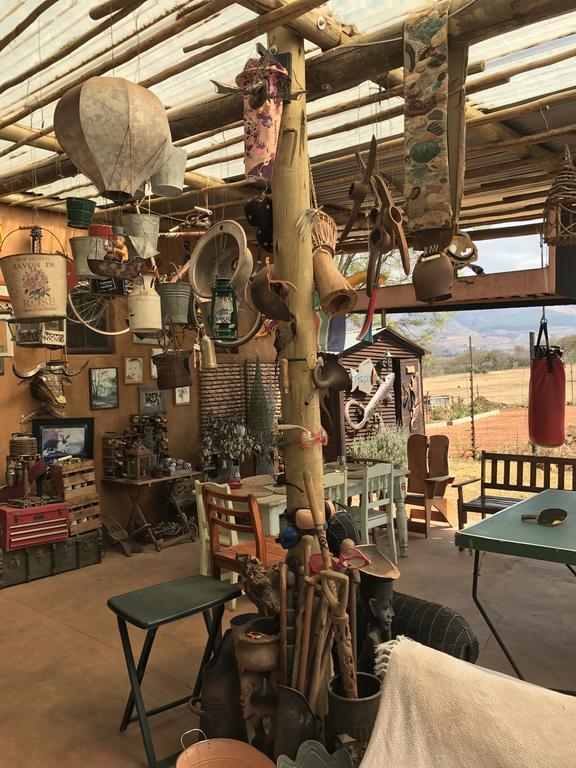 Caracal Lodge Alkmaar エクステリア 写真